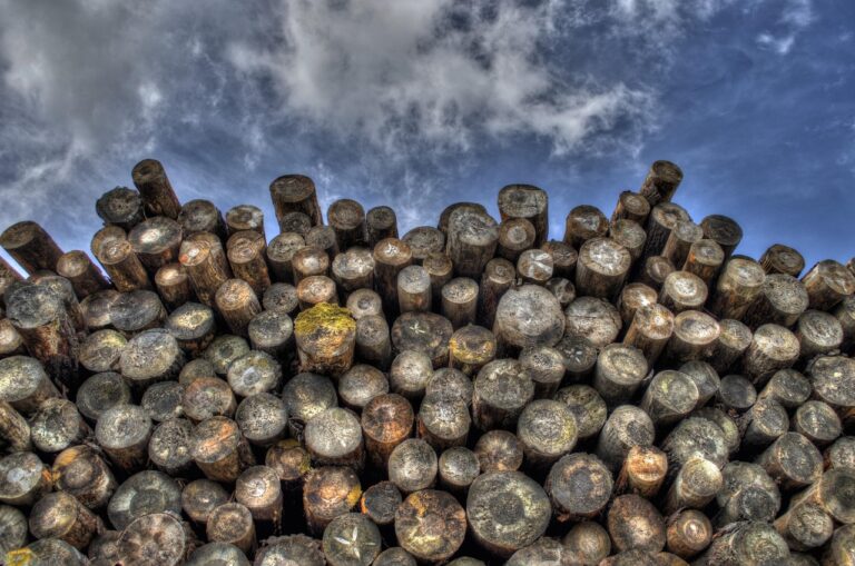 logs, wood, lumber, logging, bole, firewood, pieces of timber, woodpile, wooden, timber, forestry, deforestation, material, logs, lumber, lumber, logging, logging, firewood, timber, timber, deforestation, deforestation, deforestation, deforestation, deforestation